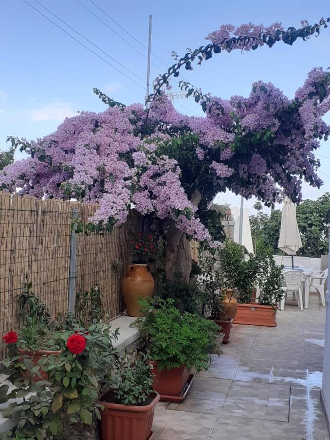 Apartamento Casa Antonia Anacapri  Exterior foto